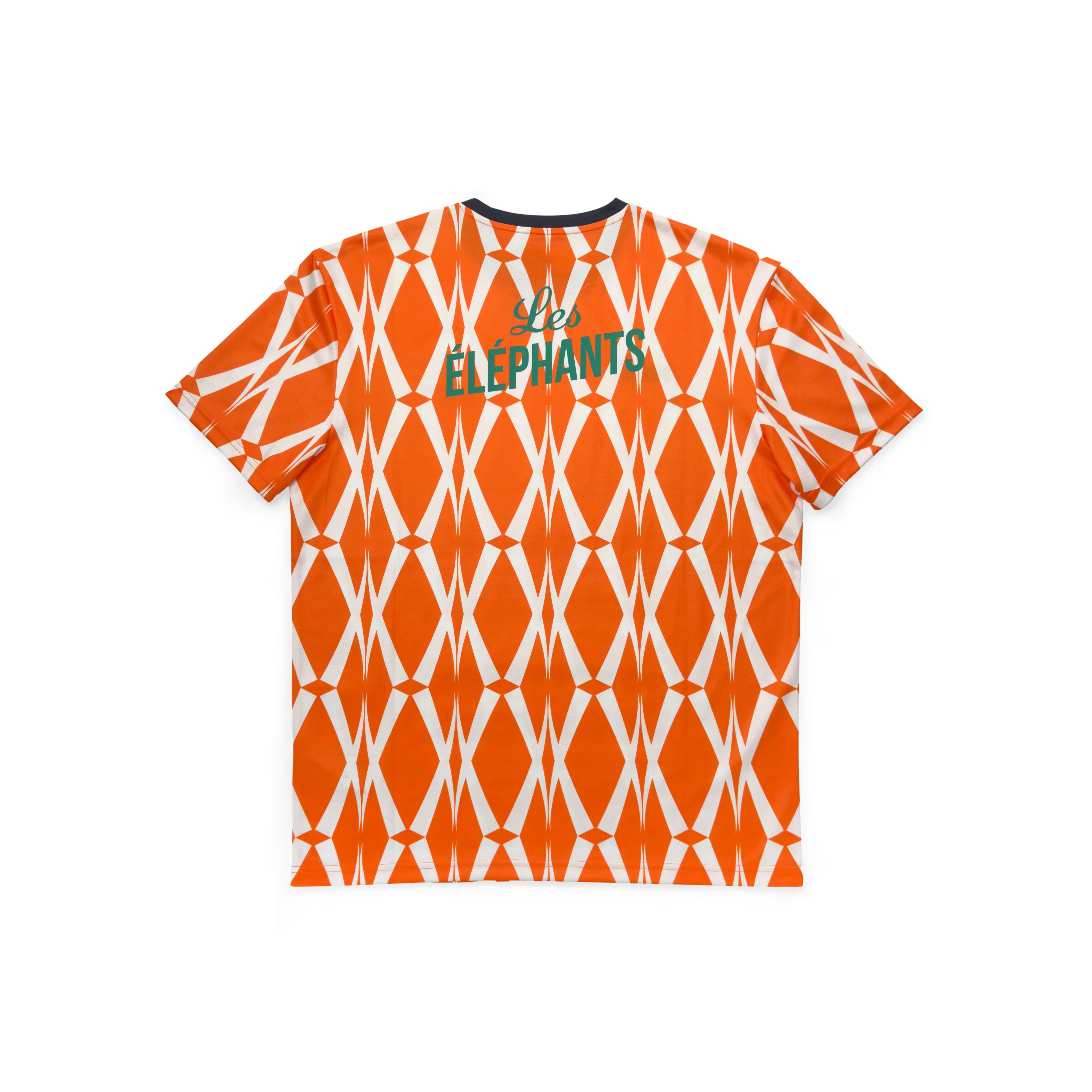 Elfenbeinküste 2023 Trainings-T-Shirt | PUMA