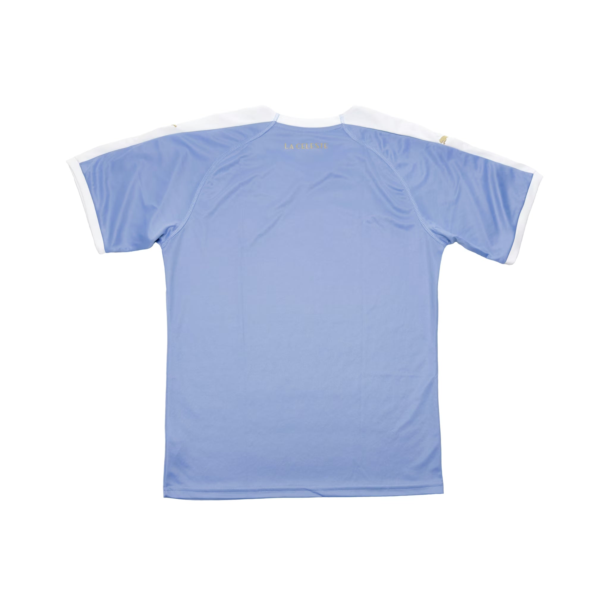 Uruguay 2019 Heimtrikot | PUMA