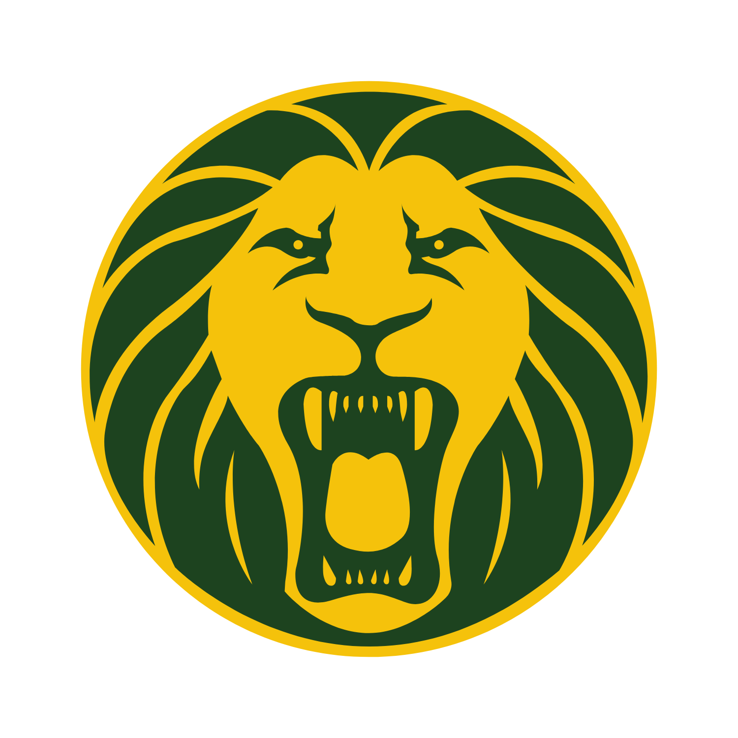 Official Cameroon Shirts, Kits & Apparel