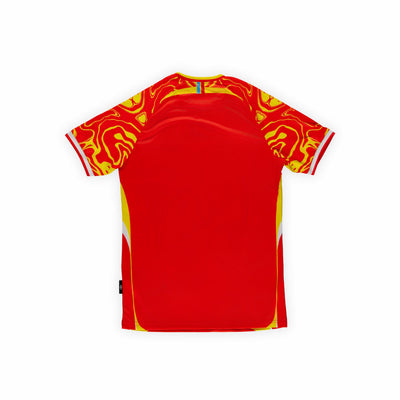DR Congo 2026 Third Shirt | Umbro
