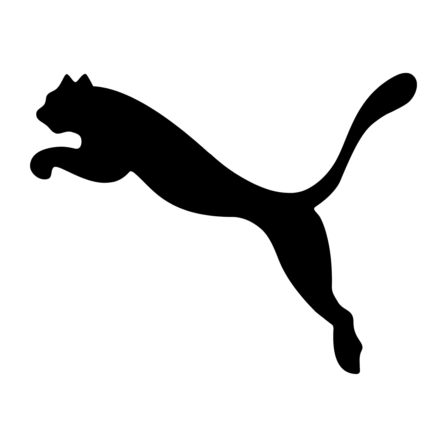 Schwarzes PUMA Markenlogo (2025) – Ausrüster der deutschen Fußballnationalmannschaft.
