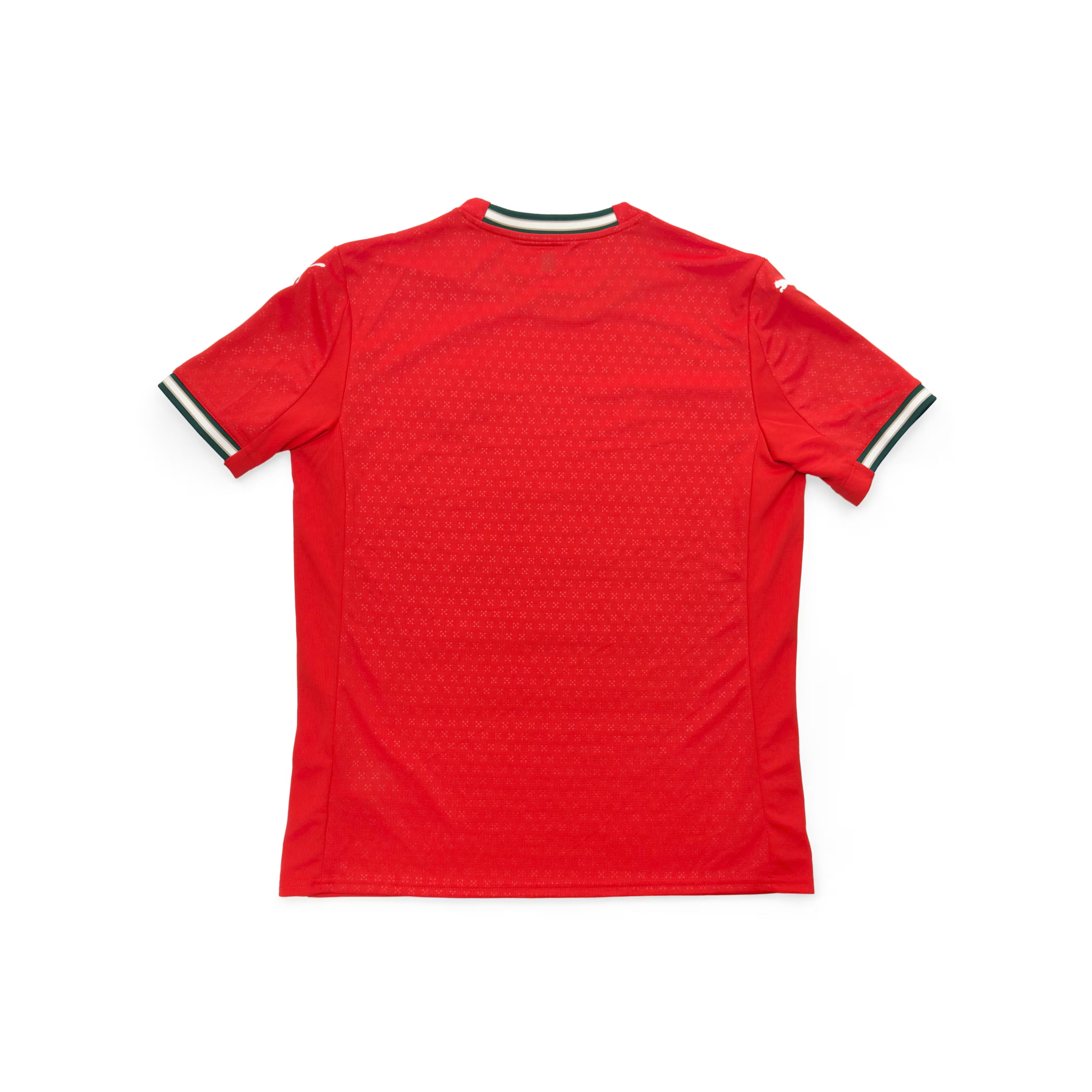 Portugal 2025 Home Shirt | PUMA