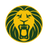 Kamerun logo