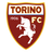 Torino logo