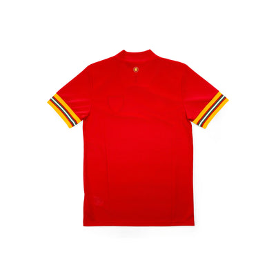 Wales 2020 Heimtrikot | adidas